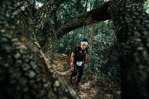 BIB: 
                            <button type="button" onclick="openModal(25392377)" class="btn btn-primary btn-sm float-right btn-popup" data-toggle="modal" data-target=".modal-high-quality">
                        <i class="fas fa-shopping-cart"></i> Add to Cart
                    </button>
                                            <button type="button" onclick="isThisMe(25392377, true)" class="btn btn-success btn-sm float-right btn-popup btn-isme hidden" data-toggle="tooltip" data-placement="bottom" title="นี่คือรูปของคุณใช่ไหม คลิกที่นี่เพื่อเอาเข้าอัลบั้ม">
                        <i class="fas fa-plus"></i> Add to album
                    </button>
                    <button type="button" onclick="isThisMe(25392377, false)" class="btn btn-warning btn-sm float-right btn-popup btn-isnotme hidden">
                        <i class="fas fa-ban"></i> Remove from album
                    </button>